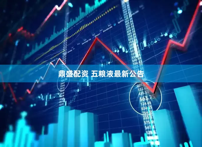 鼎盛配资 五粮液最新公告